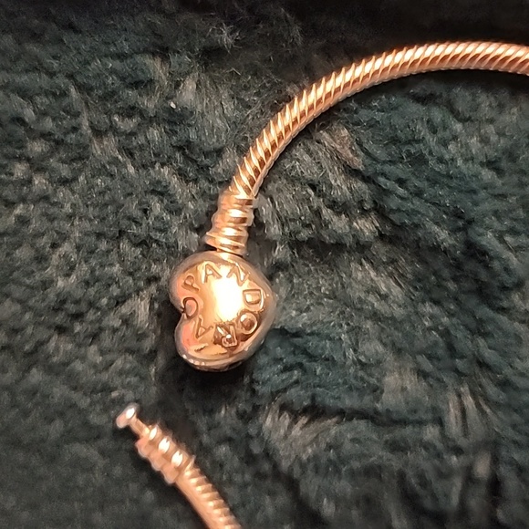 PANDORA - Picture 5 of 6